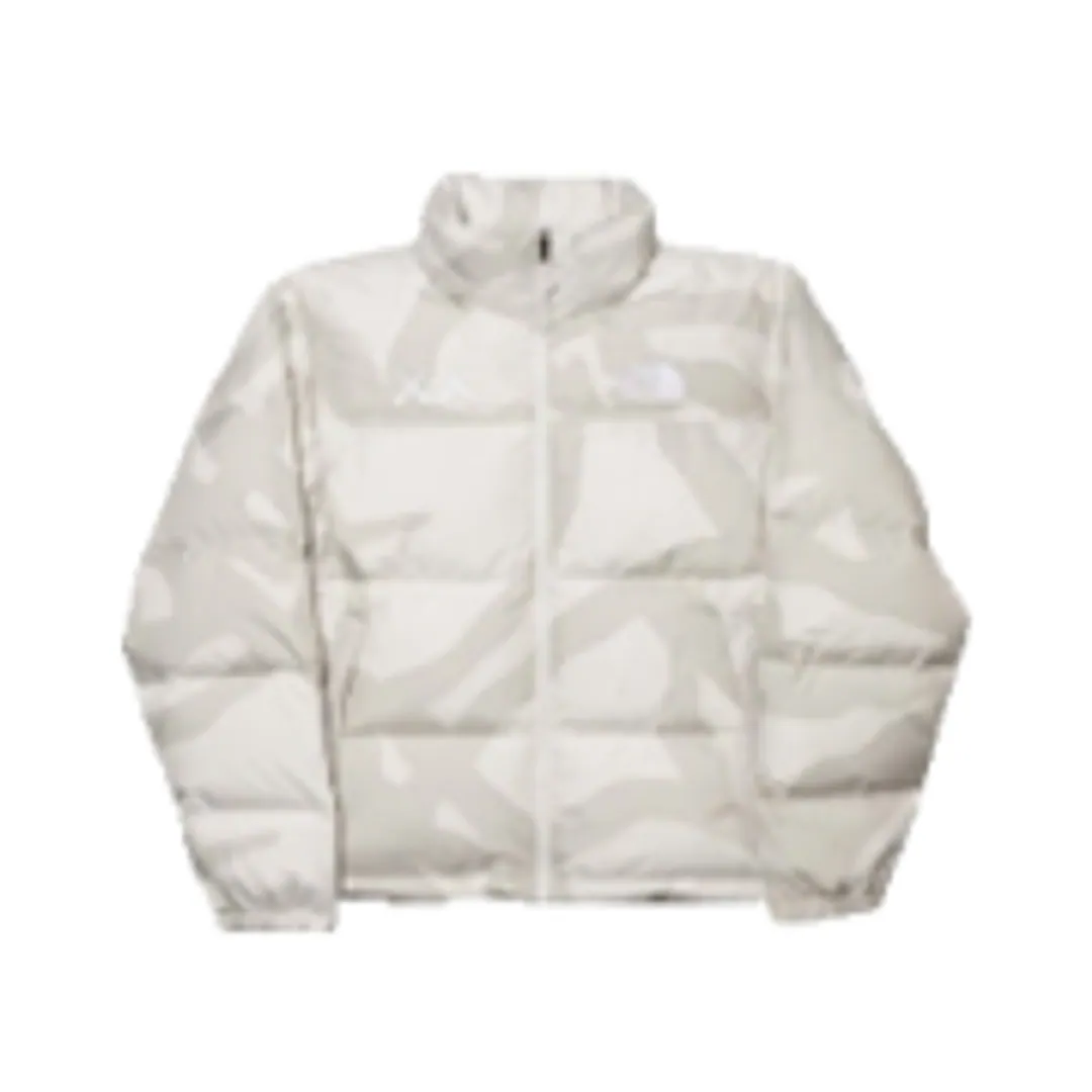 The North Facex KAWS Nuptse Puffer Jacket
