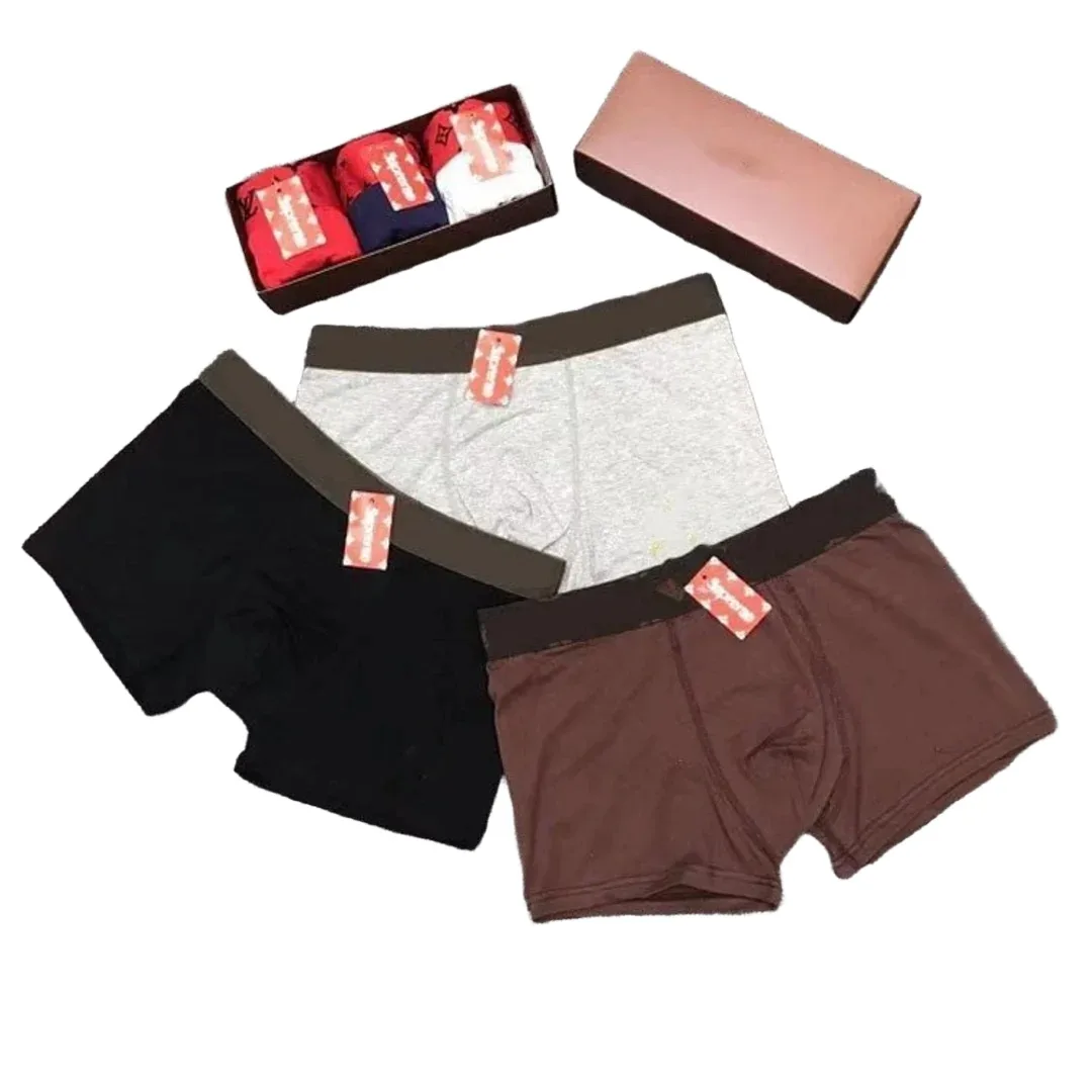 Supreme boxer briefs