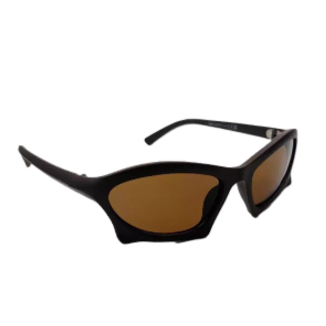 Balenciaga Sun Glasses (budget)
