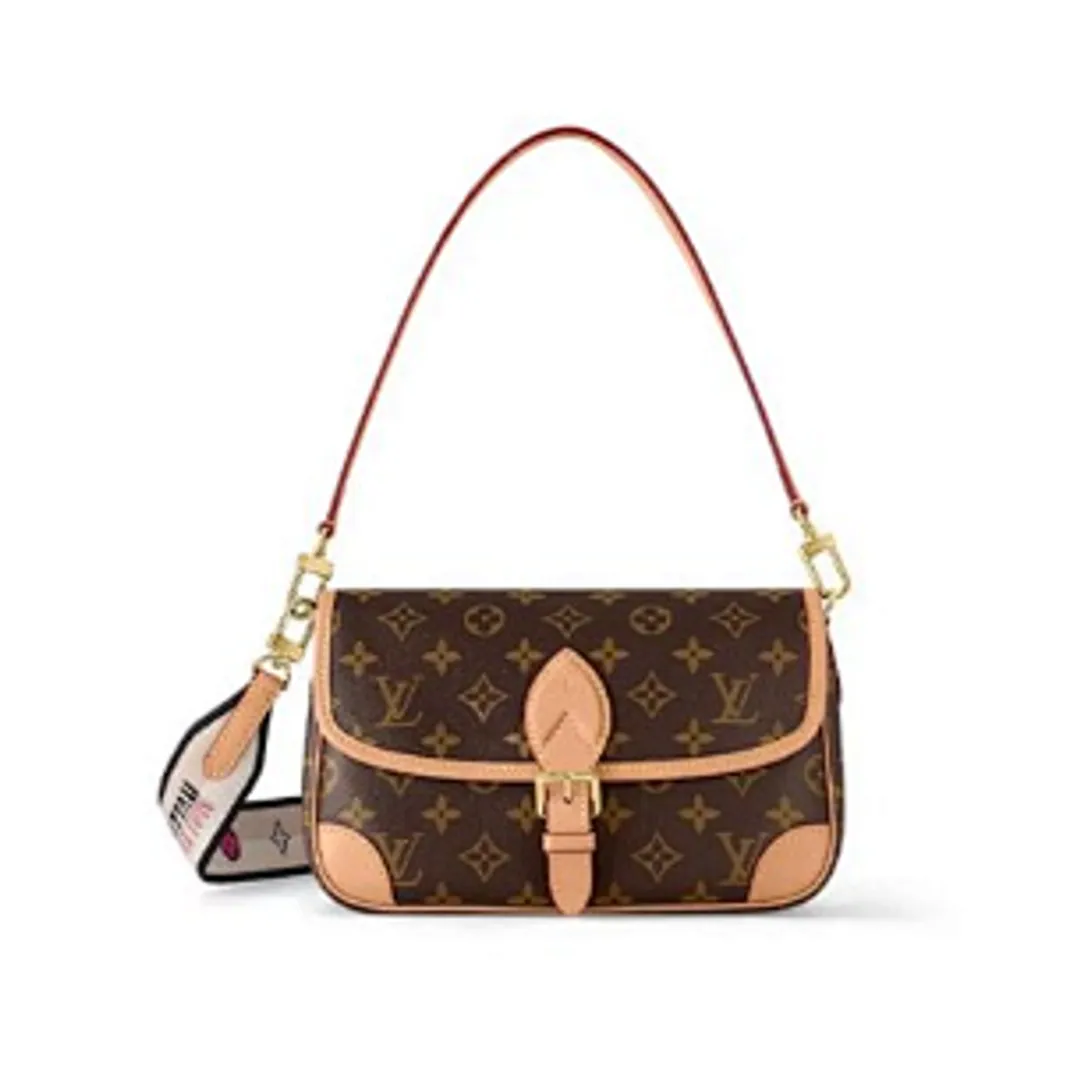 Louis Vuitton Bag